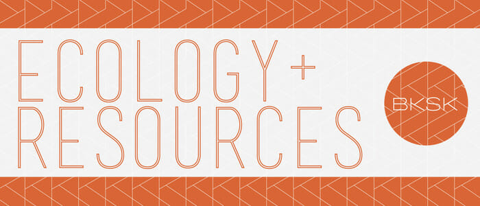 4a-Understanding-the-Syntax_Ecology-main
