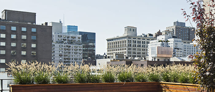 211 East 13th Street NYC BKSK architects